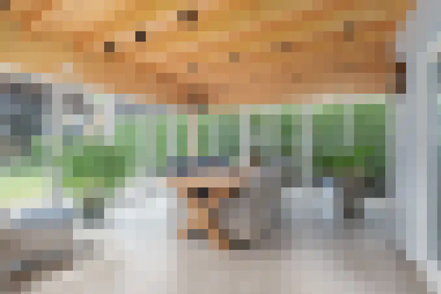 Breedstraat 4 Hedel thumbnail 4