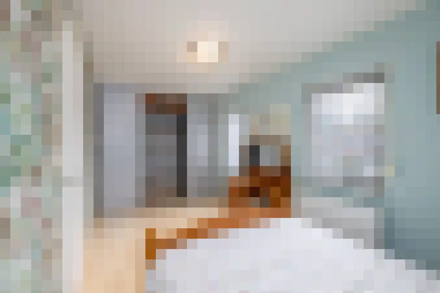 Breedstraat 4 Hedel thumbnail 44