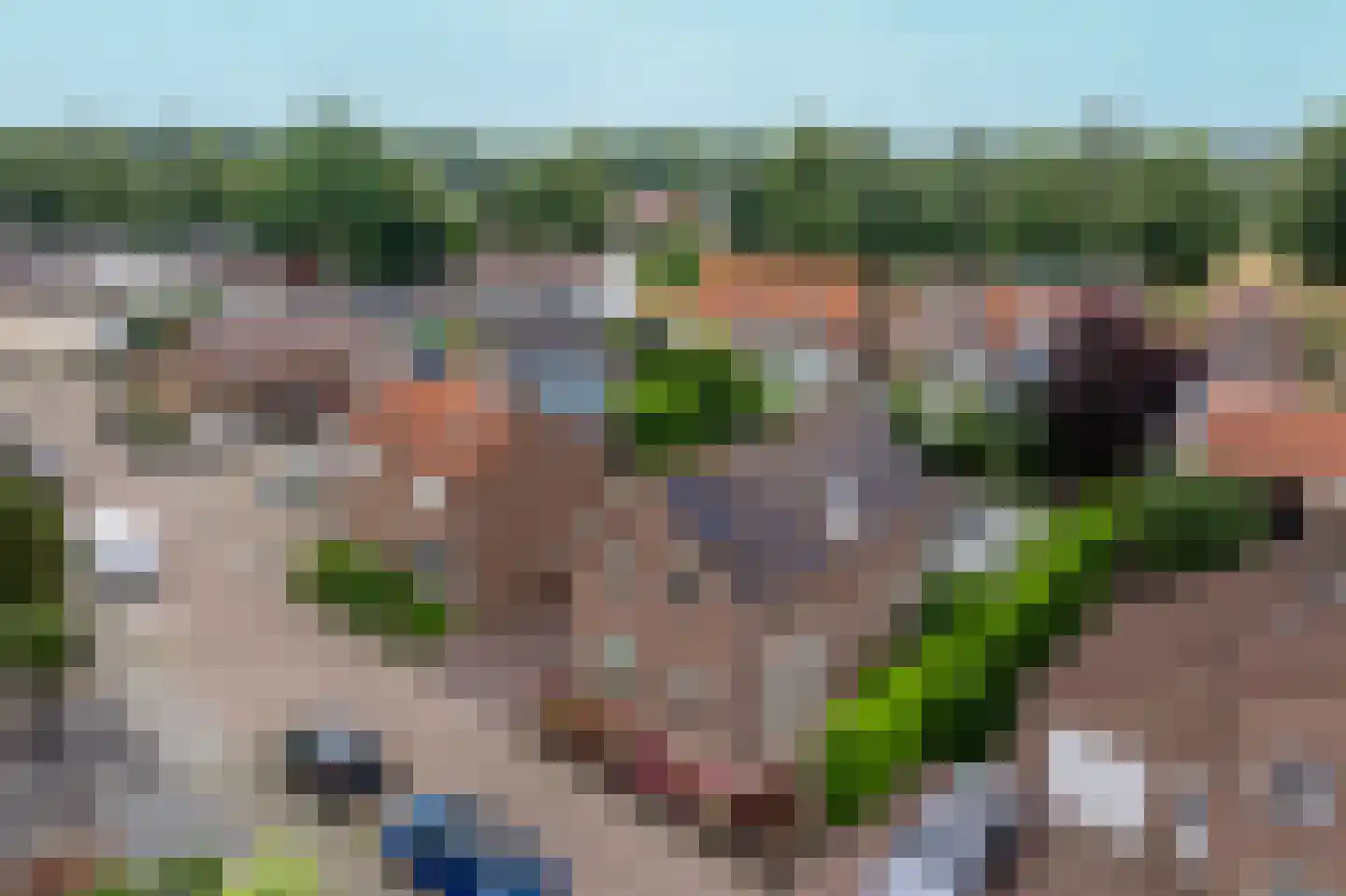 Breedstraat 4 Hedel thumbnail 55