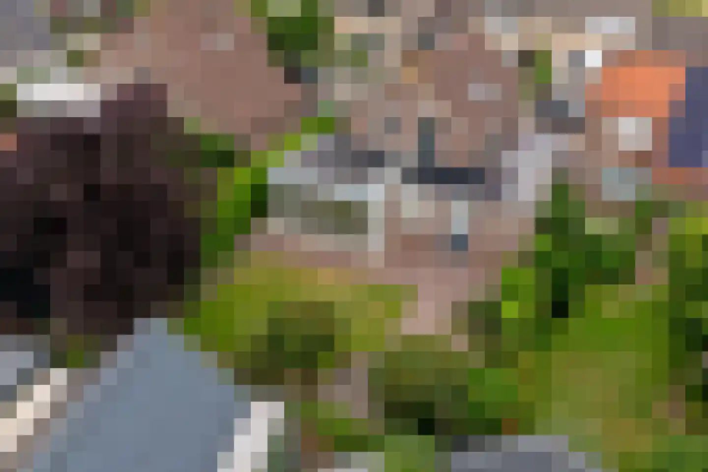 Breedstraat 4 Hedel thumbnail 56