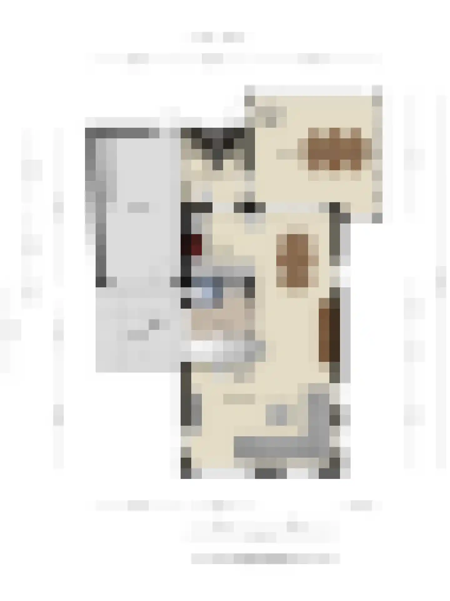 Breedstraat 4 Hedel thumbnail 58