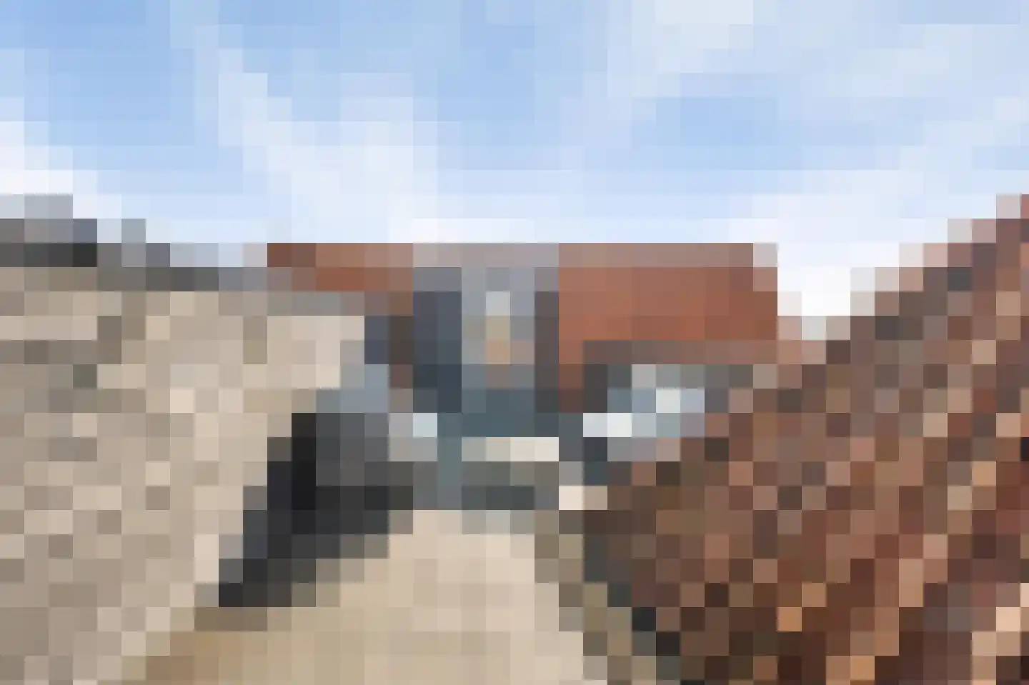 Breedstraat 47 Alkmaar thumbnail 21