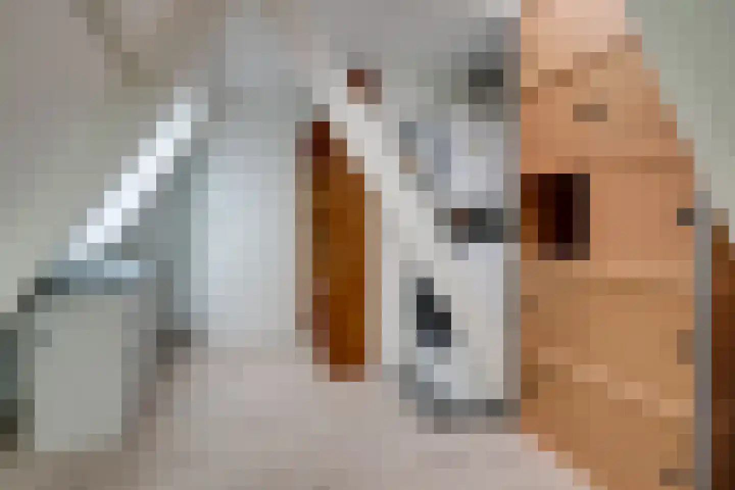 Breedstraat 5 Alkmaar thumbnail 19