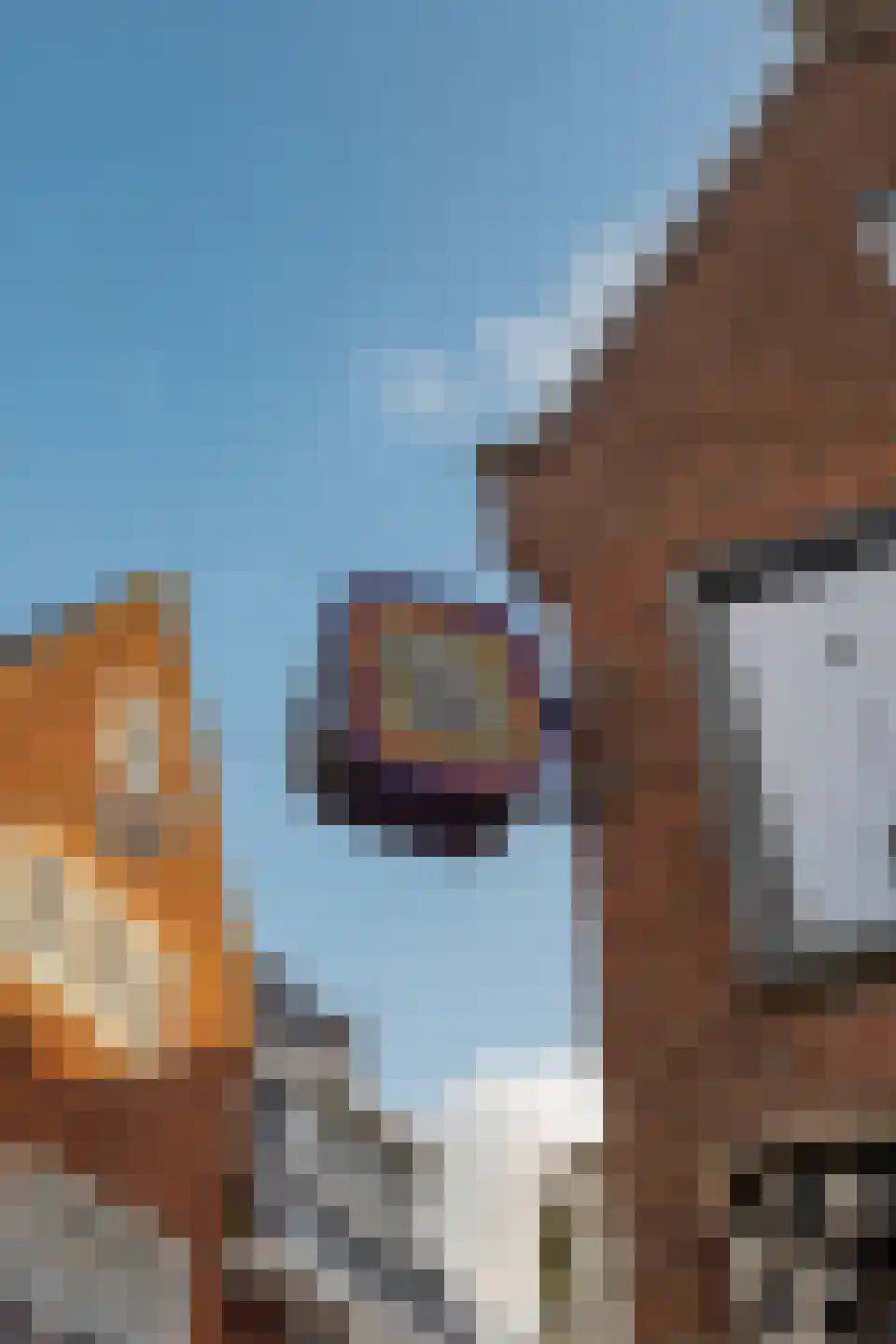 Breedstraat 5 Alkmaar thumbnail 25
