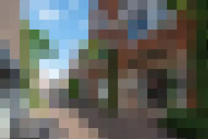 Breedstraat 6 Alkmaar thumbnail 26