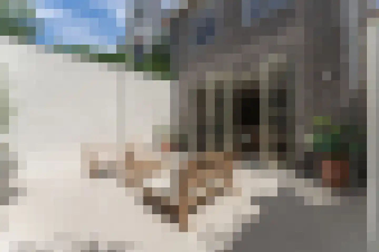 Breedstraat 68 Enkhuizen thumbnail 4