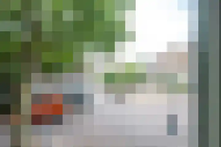 Breedstraat 8 A Utrecht thumbnail 20