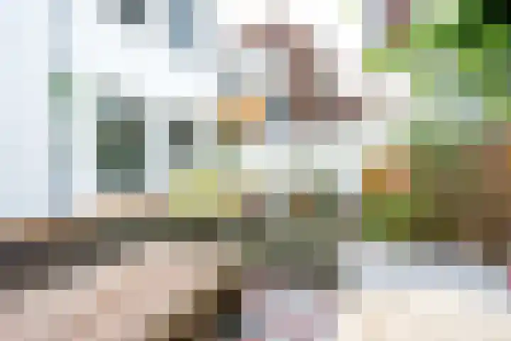 Breedstraat 8 A Utrecht thumbnail 39