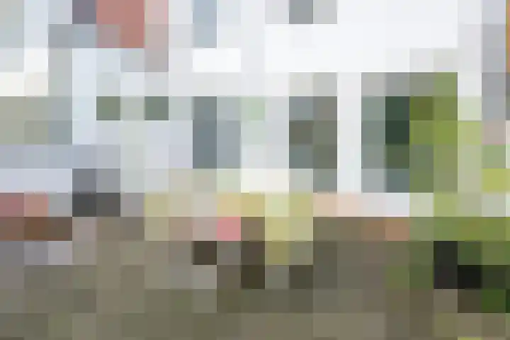 Breedstraat 8 A Utrecht thumbnail 42