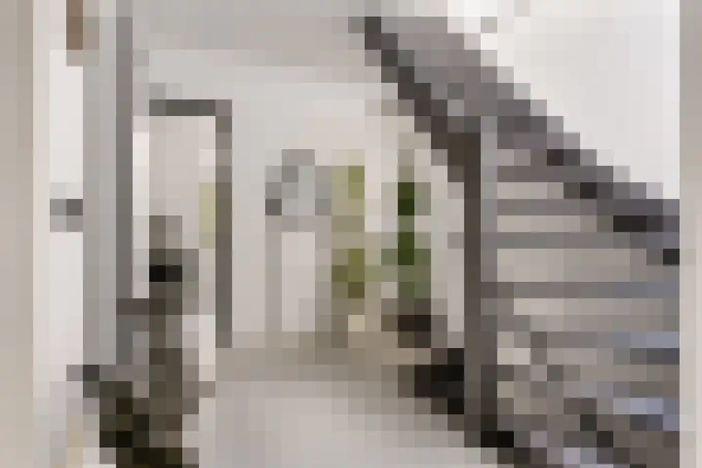Breedstraat 8 B Utrecht thumbnail 15