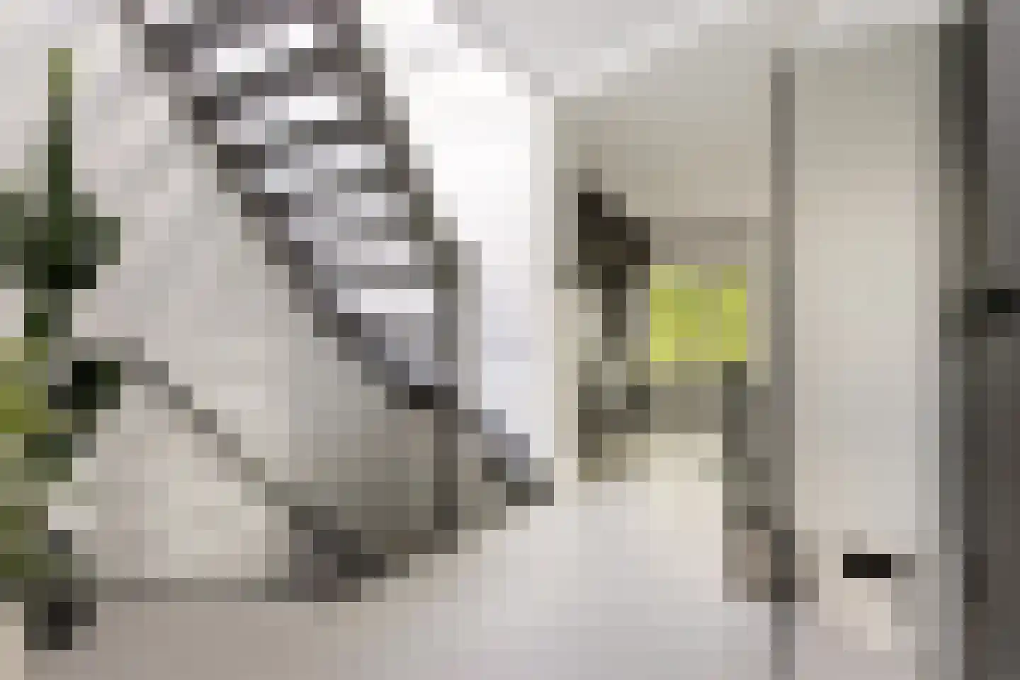 Breedstraat 8 B Utrecht thumbnail 5