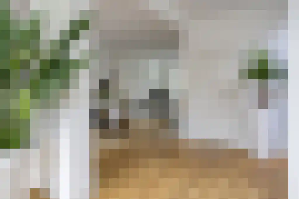 Breedveldsingel 88 Rotterdam thumbnail 5