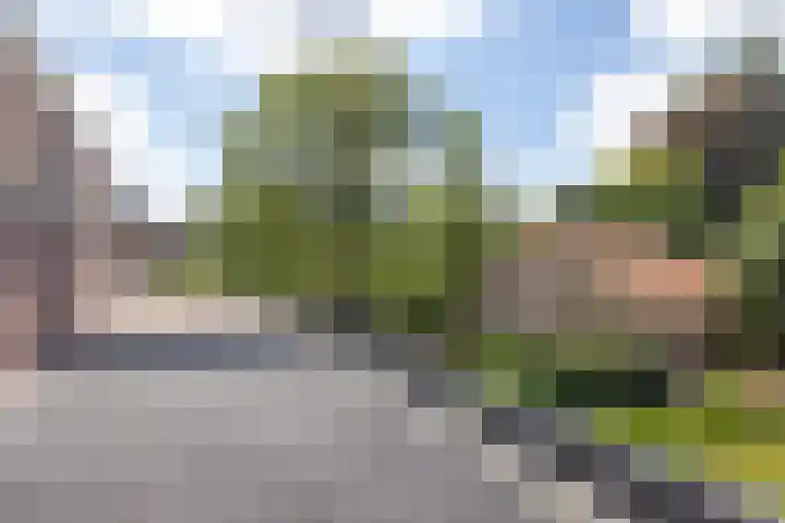 Breedveldsingel 93 Rotterdam thumbnail 24