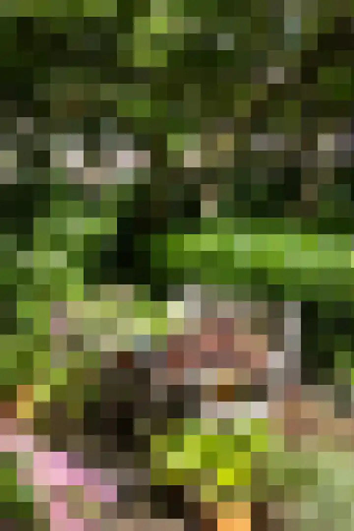 Breedveldsingel 93 Rotterdam thumbnail 36