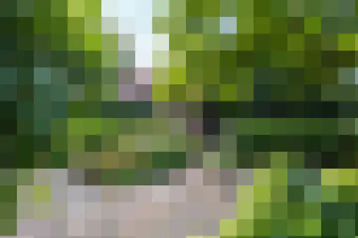 Breedveldsingel 93 Rotterdam thumbnail 37