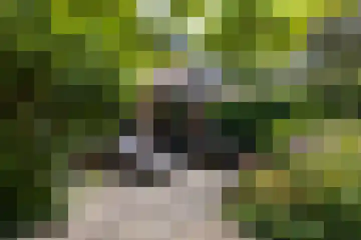 Breedveldsingel 93 Rotterdam thumbnail 38