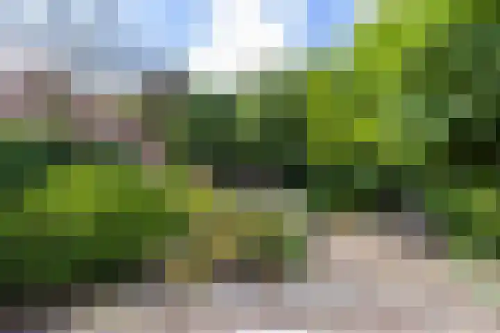 Breedveldsingel 93 Rotterdam thumbnail 4