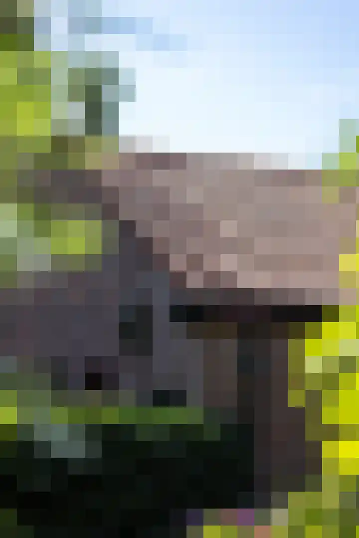 Breedveldsingel 93 Rotterdam thumbnail 42