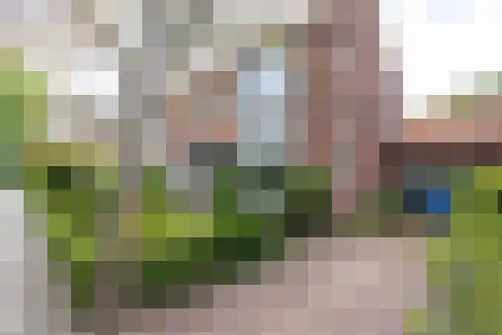 Breedveldsingel 93 Rotterdam thumbnail 45