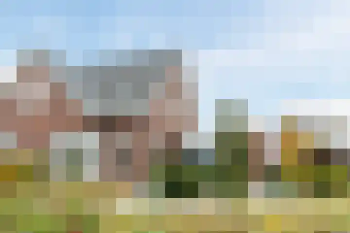 Breedvennen 20 en Leende