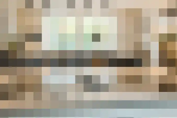 Breedvennen 20 Leende thumbnail 14