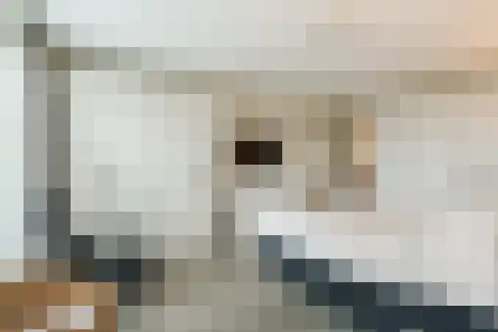 Breedvennen 20 Leende thumbnail 16