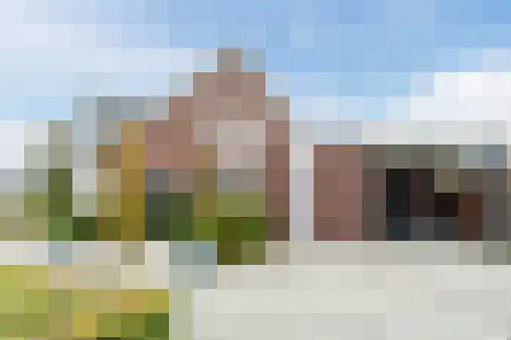 Breedvennen 20 Leende foto 2