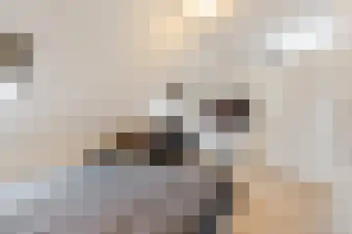 Breedvennen 20 Leende thumbnail 25