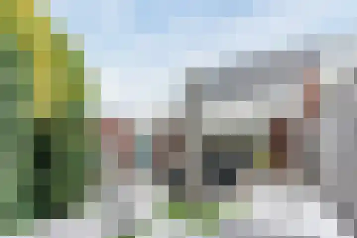 Breedvennen 20 Leende thumbnail 28