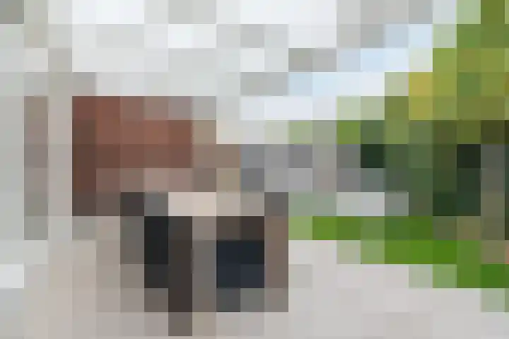 Breedvennen 20 Leende thumbnail 29