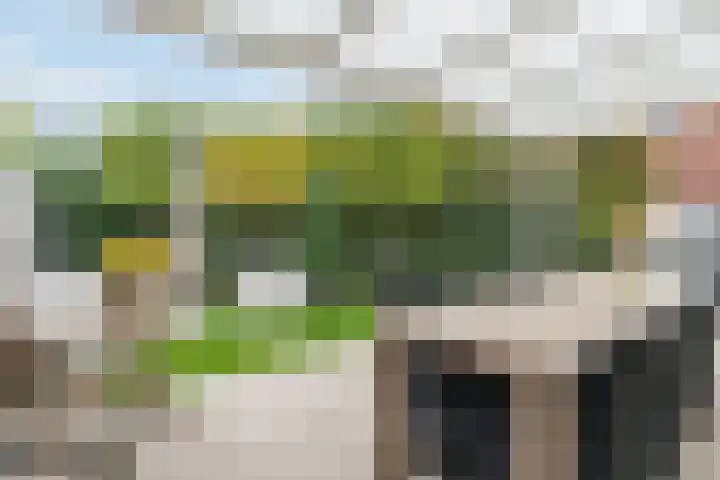 Breedvennen 20 Leende thumbnail 30