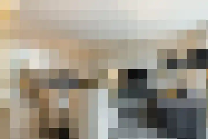 Breedvennen 20 Leende thumbnail 7