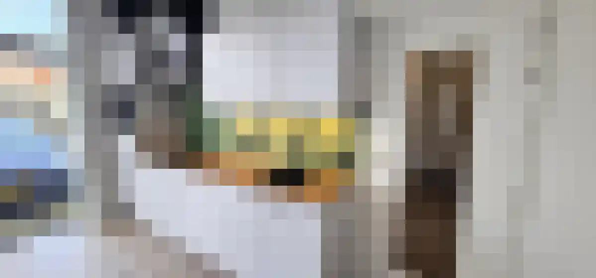 Breedweer 12 Koog aan de Zaan thumbnail 6