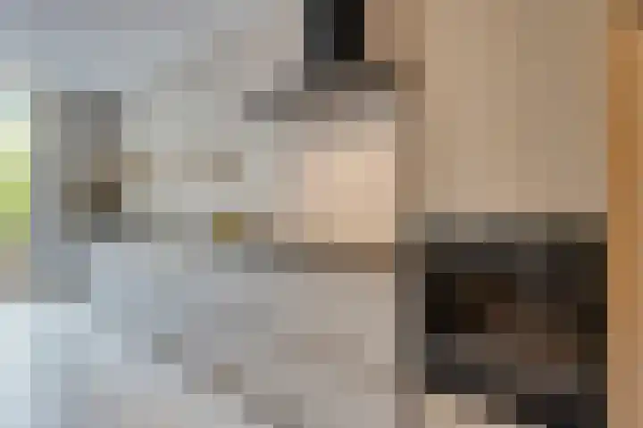 Breedweer 13 Koog aan de Zaan thumbnail 10