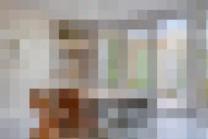 Breedweer 13 Koog aan de Zaan thumbnail 11