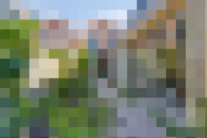 Breedweer 13 Koog aan de Zaan thumbnail 13