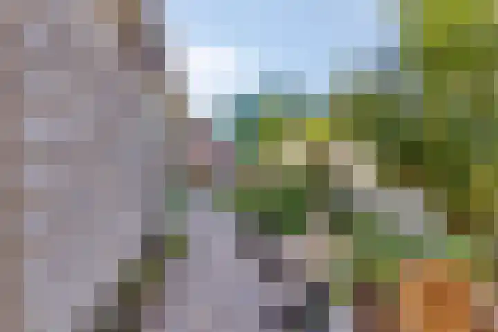 Breedweer 13 Koog aan de Zaan thumbnail 14