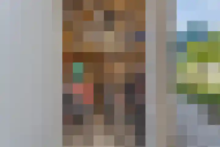 Breedweer 13 Koog aan de Zaan thumbnail 18