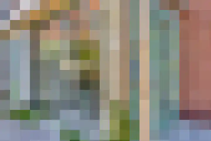 Breedweer 13 Koog aan de Zaan thumbnail 19