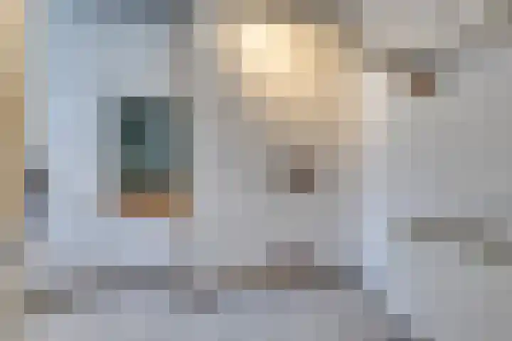 Breedweer 13 Koog aan de Zaan thumbnail 21