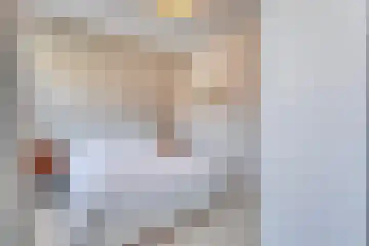 Breedweer 13 Koog aan de Zaan thumbnail 23