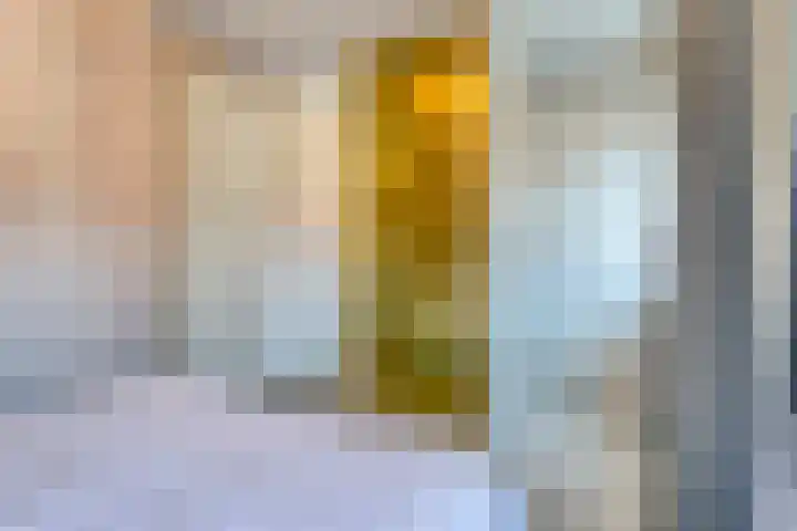 Breedweer 13 Koog aan de Zaan thumbnail 24
