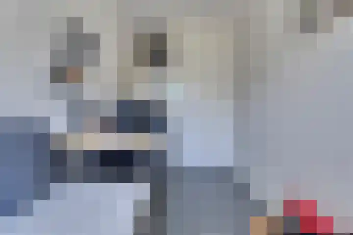 Breedweer 13 Koog aan de Zaan thumbnail 31