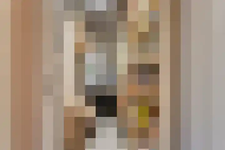 Breedweer 13 Koog aan de Zaan thumbnail 35