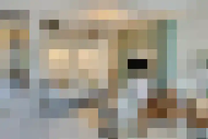 Breedweer 13 Koog aan de Zaan thumbnail 5