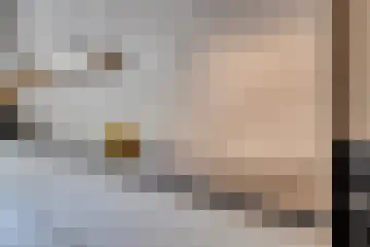 Breedweer 13 Koog aan de Zaan thumbnail 8