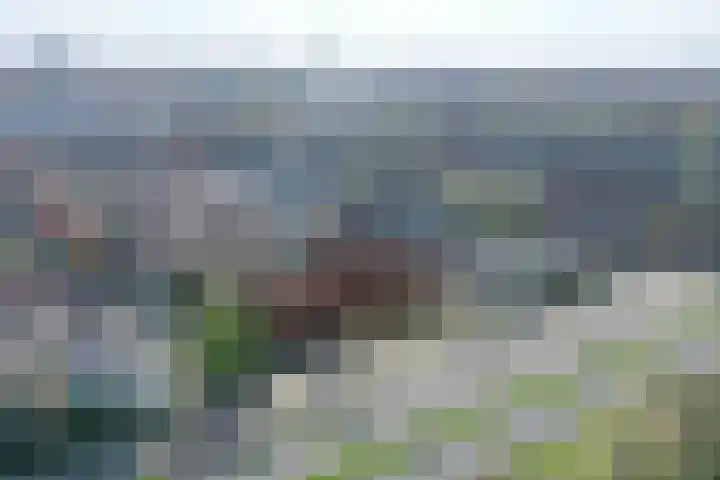 Breedweer 84 Koog aan de Zaan thumbnail 11