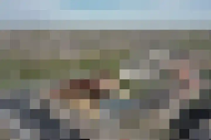 Breedweer 84 Koog aan de Zaan thumbnail 8