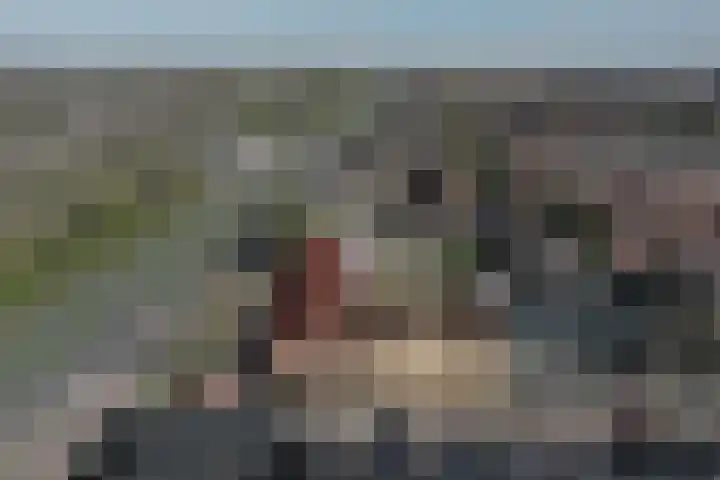 Breedweer 84 Koog aan de Zaan thumbnail 9