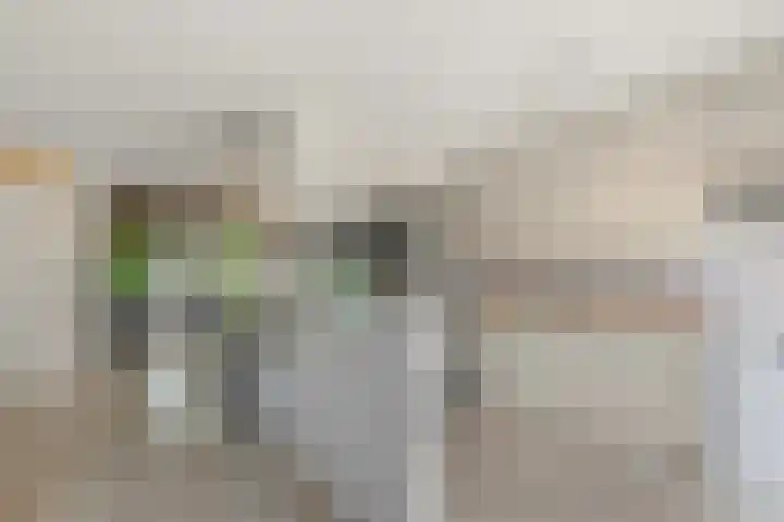 Breedweerlaan 114 Heemskerk thumbnail 10